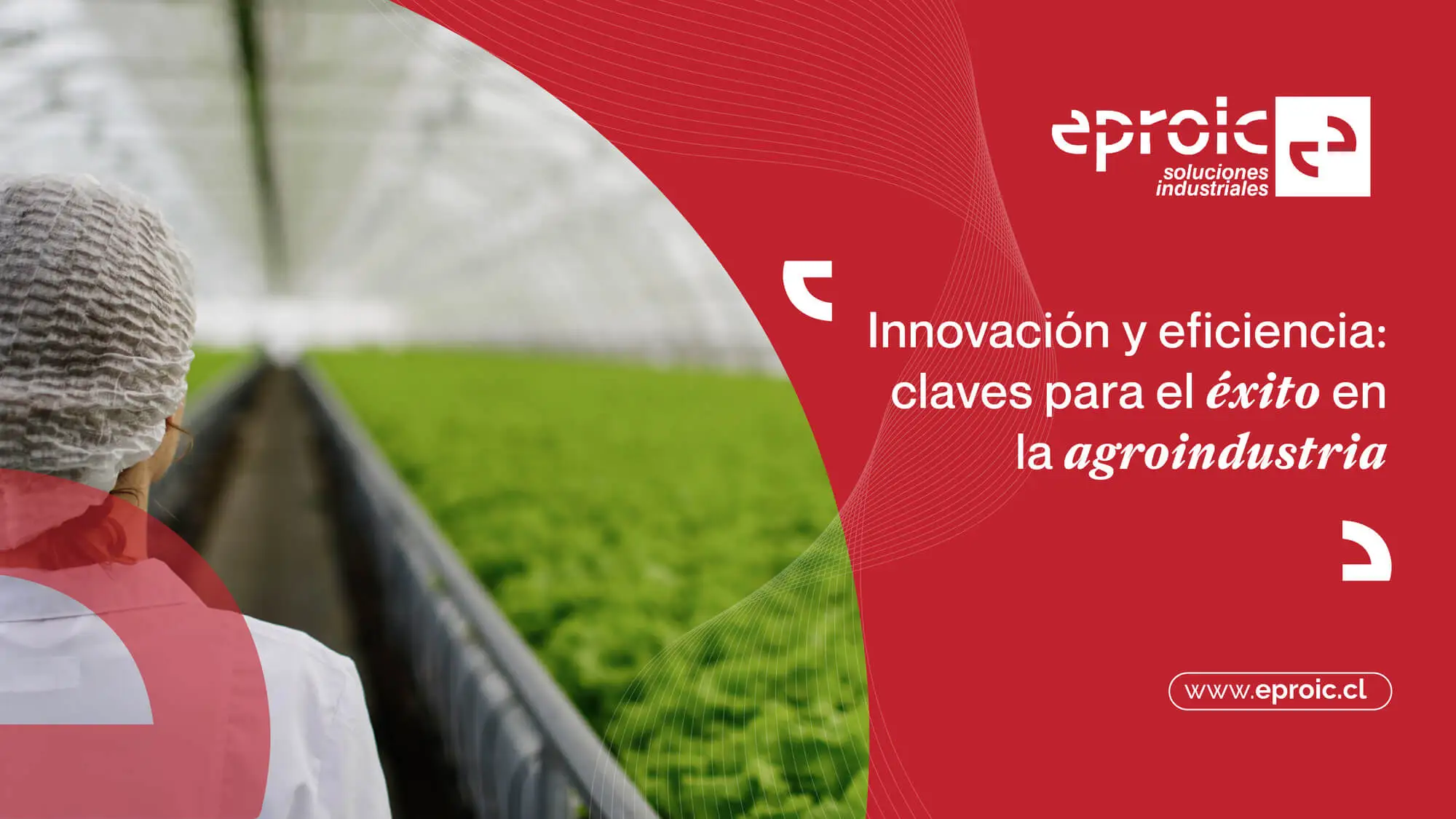 Gestión de proyectos industriales: Innovación y eficiencia en cada paso