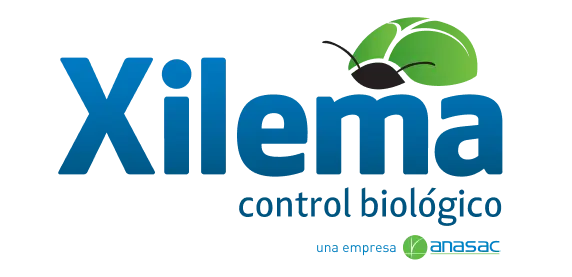Xilema Logo - empresa especialista en control biológico en agricultura en Chile.